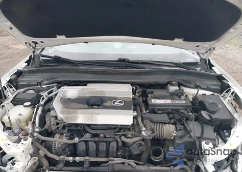 2019 Lexus Ux 200 z USA, uszkodzony, nr VIN JTHY3JBH8K2014561